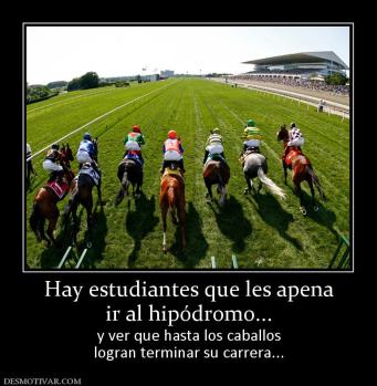 Hay estudiantes que les apena ir al hipódromo... y ver que hasta los caballos logran terminar su carrera...