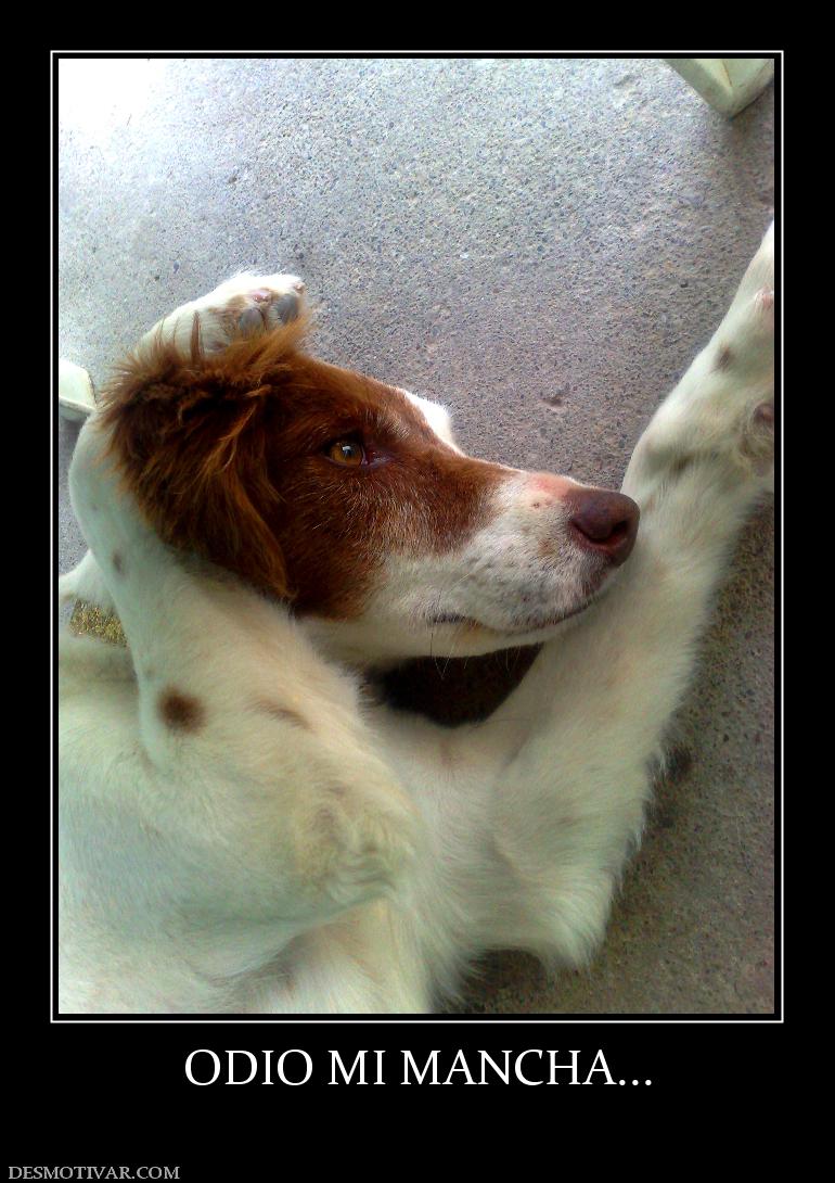 ODIO MI MANCHA...