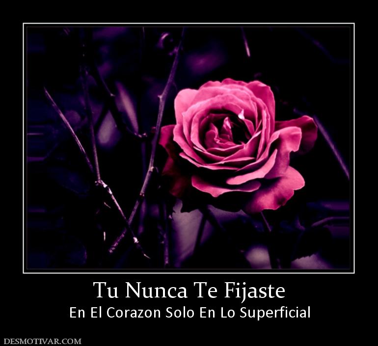 Tu Nunca Te Fijaste En El Corazon Solo En Lo Superficial