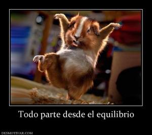 Todo parte desde el equilibrio