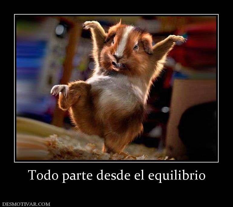 Todo parte desde el equilibrio