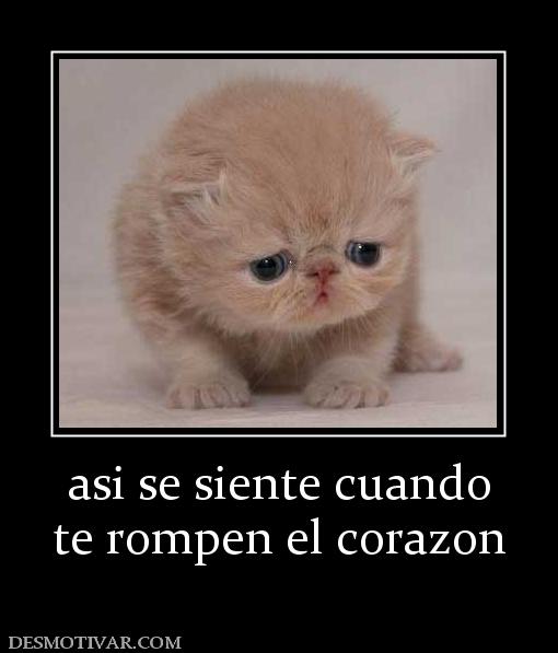 asi se siente cuando te rompen el corazon