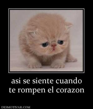 asi se siente cuando te rompen el corazon