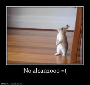 No alcanzooo =(