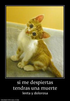si me despiertas tendras una muerte  lenta y dolorosa