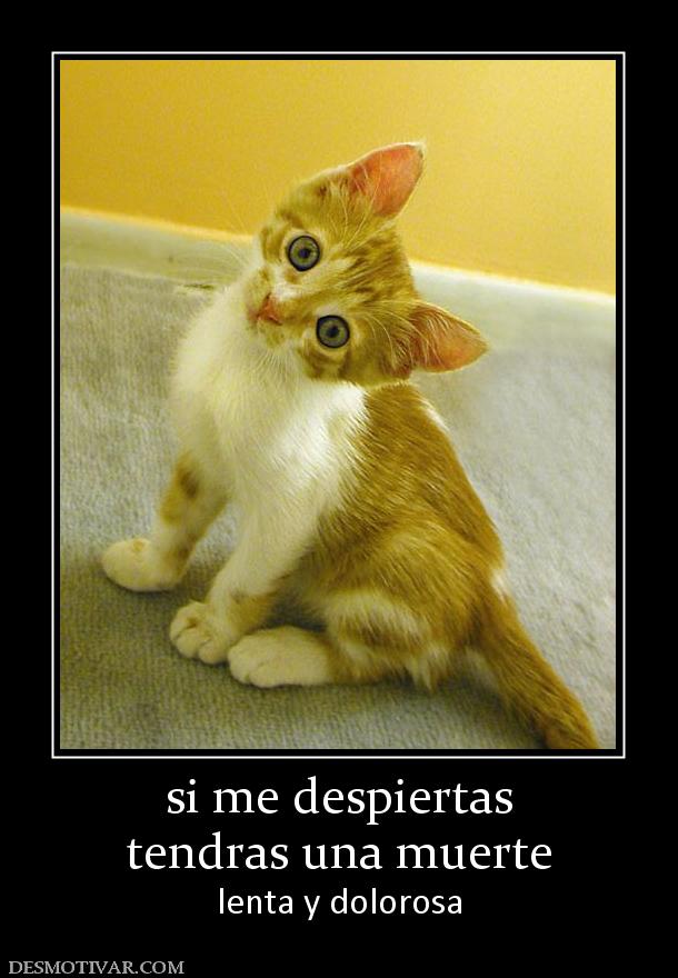 si me despiertas tendras una muerte  lenta y dolorosa