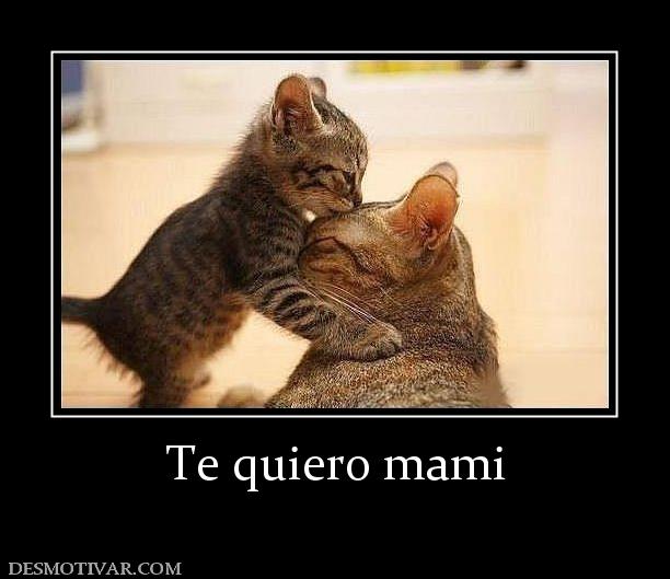 Te quiero mami