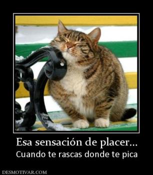 Esa sensación de placer... Cuando te rascas donde te pica