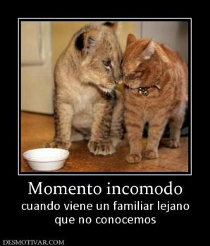 Momento incomodo cuando viene un familiar lejano que no conocemos