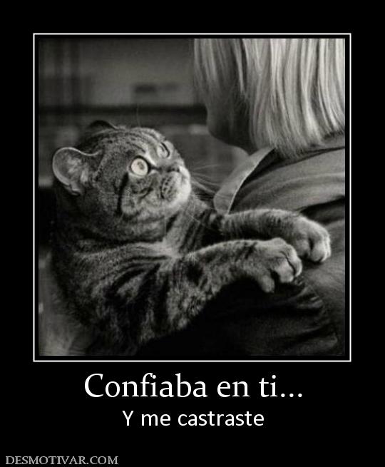 Confiaba en ti... Y me castraste