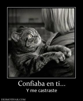 Confiaba en ti... Y me castraste