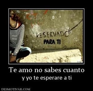 Te amo no sabes cuanto y yo te esperare a ti
