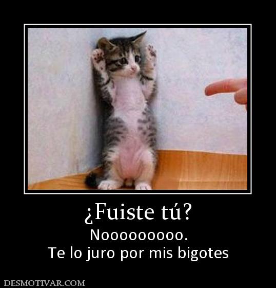 ¿Fuiste tú? Nooooooooo. Te lo juro por mis bigotes