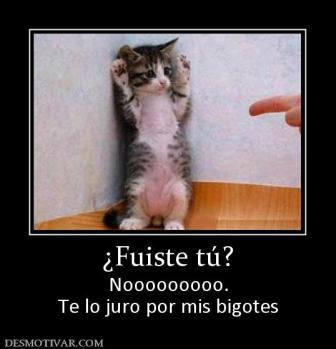 ¿Fuiste tú? Nooooooooo. Te lo juro por mis bigotes