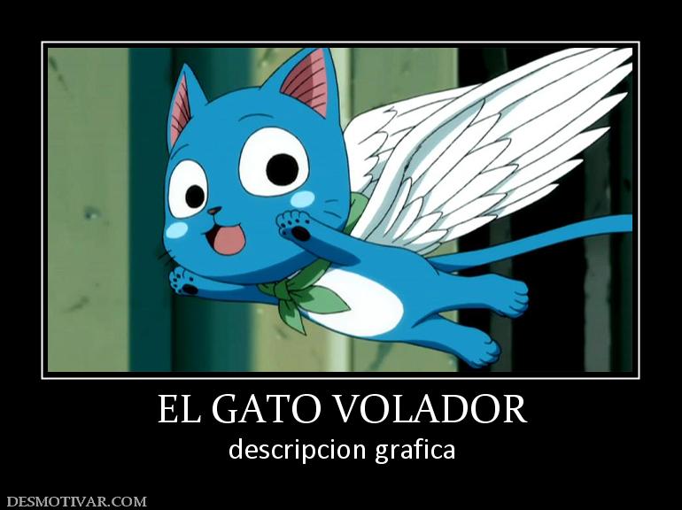 EL GATO VOLADOR descripcion grafica