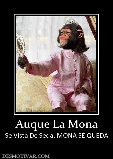 Auque La Mona Se Vista De Seda, MONA SE QUEDA