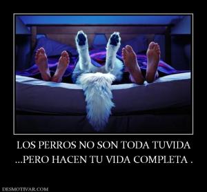 LOS PERROS NO SON TODA TUVIDA ...PERO HACEN TU VIDA COMPLETA .