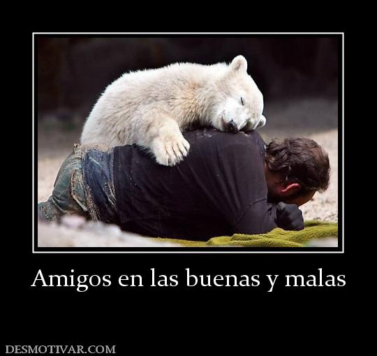 Amigos en las buenas y malas