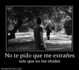 No te pido que me extrañes solo que no me olvides