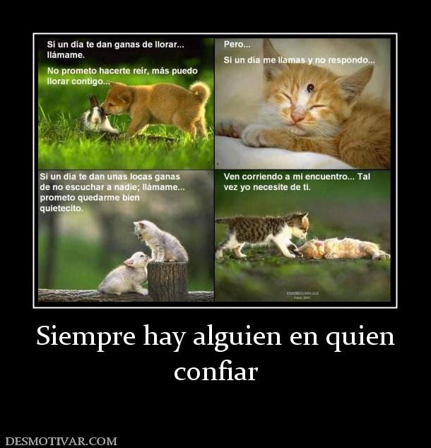 Siempre hay alguien en quien confiar