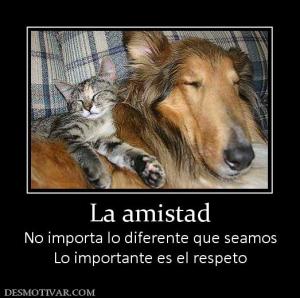 La amistad No importa lo diferente que seamos Lo importante es el respeto