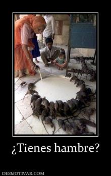 ¿Tienes hambre?