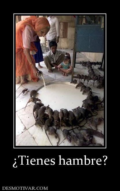 ¿Tienes hambre?