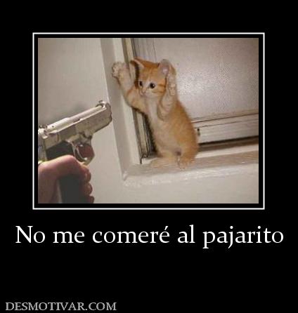 No me comeré al pajarito