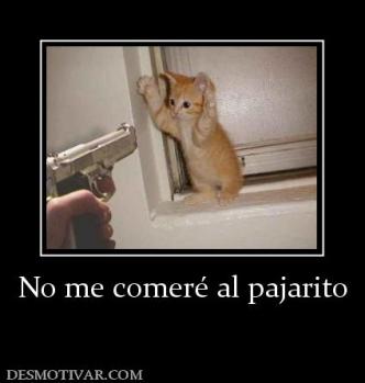 No me comeré al pajarito