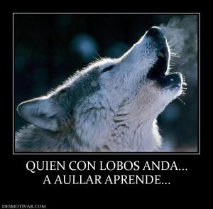 QUIEN CON LOBOS ANDA... A AULLAR APRENDE...