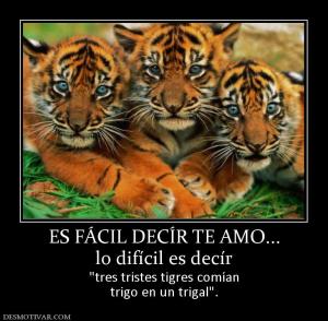 ES FÁCIL DECÍR TE AMO... lo difícil es decír   trigo en un trigal