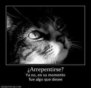 ¿Arrepentirse? Ya no, en su momento fue algo que desee