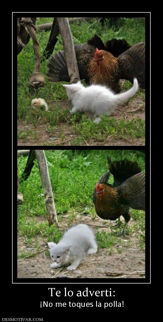 Te lo adverti: ¡No me toques la polla!