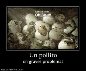 Un pollito en graves problemas