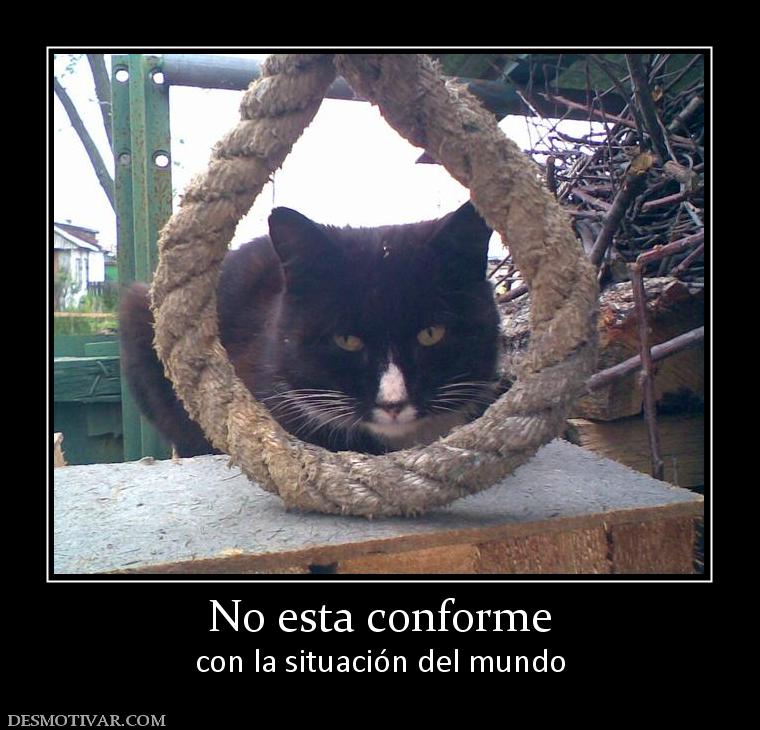 No esta conforme con la situación del mundo