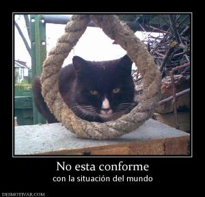 No esta conforme con la situación del mundo