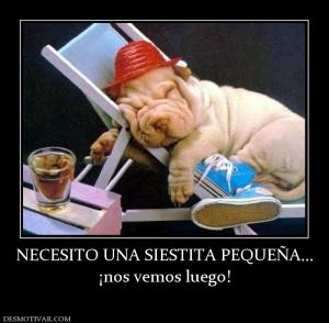 NECESITO UNA SIESTITA PEQUEÑA... ¡nos vemos luego!