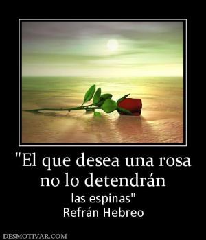 no lo detendrán las espinas Refrán Hebreo