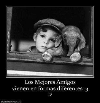 Los Mejores Amigos vienen en formas diferentes :3 :3