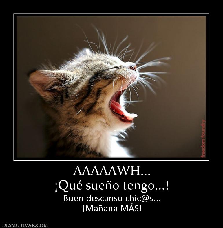AAAAAWH... ¡Qué sueño tengo...! Buen descanso chic@s... ¡Mañana MÁS!