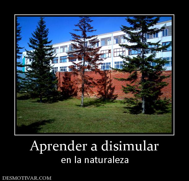 Aprender a disimular en la naturaleza
