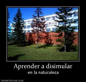 Aprender a disimular en la naturaleza
