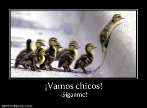 ¡Vamos chicos! ¡Síganme!