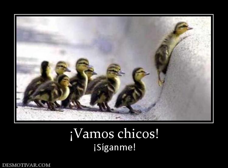 ¡Vamos chicos! ¡Síganme!