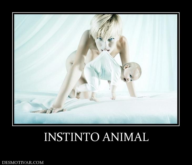 INSTINTO ANIMAL
