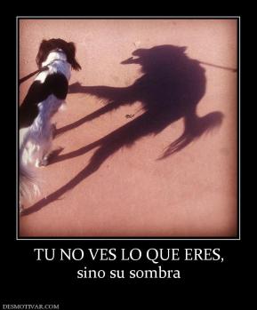TU NO VES LO QUE ERES, sino su sombra