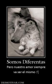Somos Diferentas Pero nuestro amor siempre va ser el mismo :'(