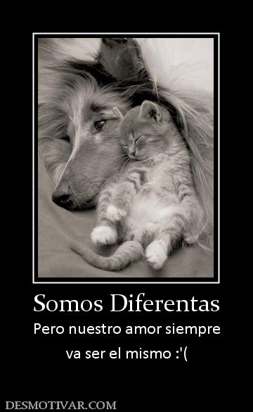 Somos Diferentas Pero nuestro amor siempre va ser el mismo :'(