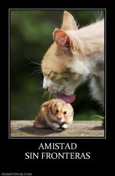 AMISTAD SIN FRONTERAS