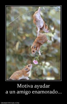 Motiva ayudar a un amigo enamorado...